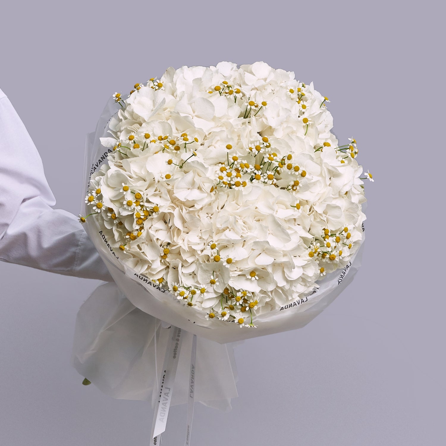 Tender Bouquet of Daisies and White Hydrangeas
