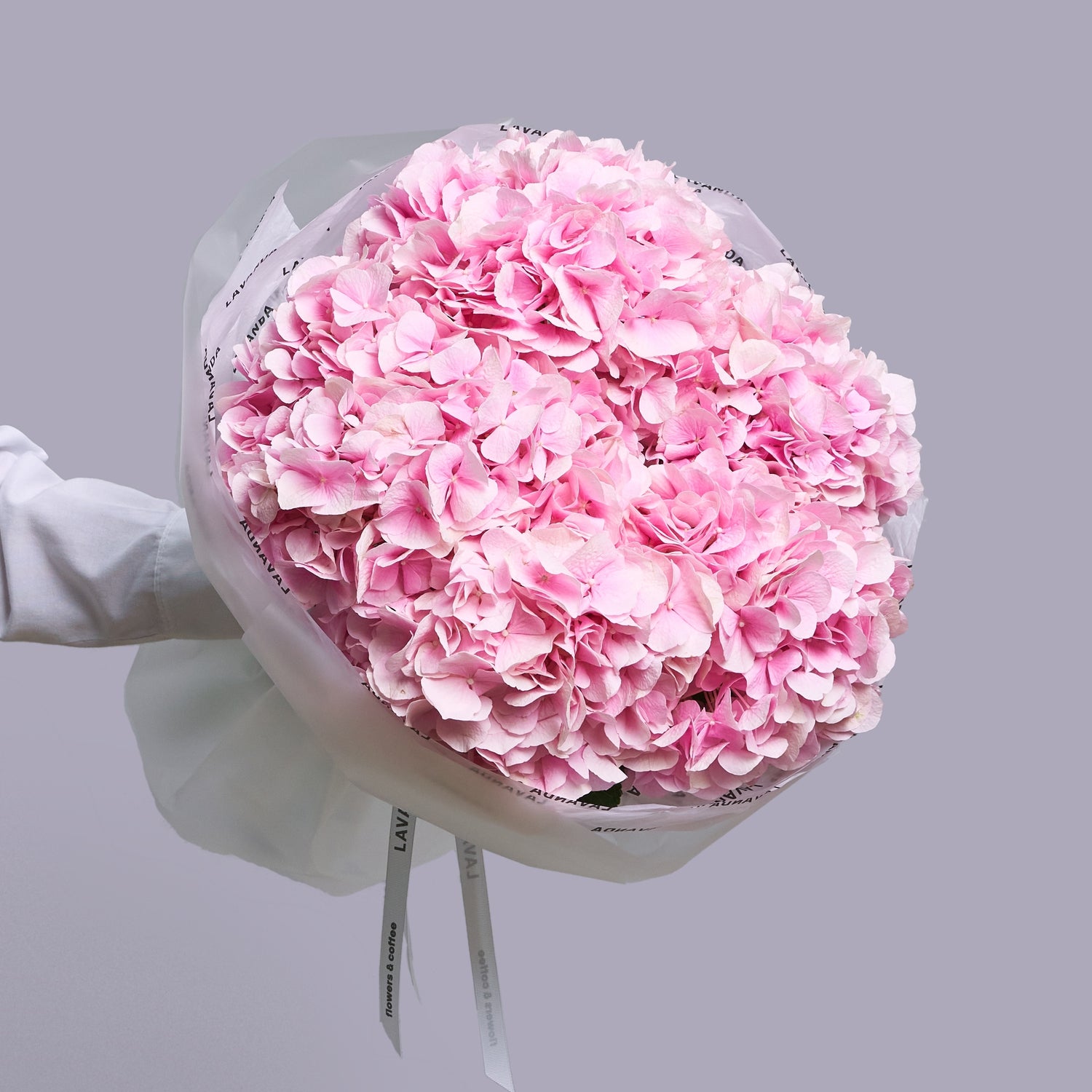 Bouquet of pink hydrangea flowers wrapped in white paper against a gray background