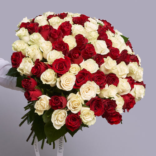 Bouquet of red and white roses held by a gloved hand on a gray background