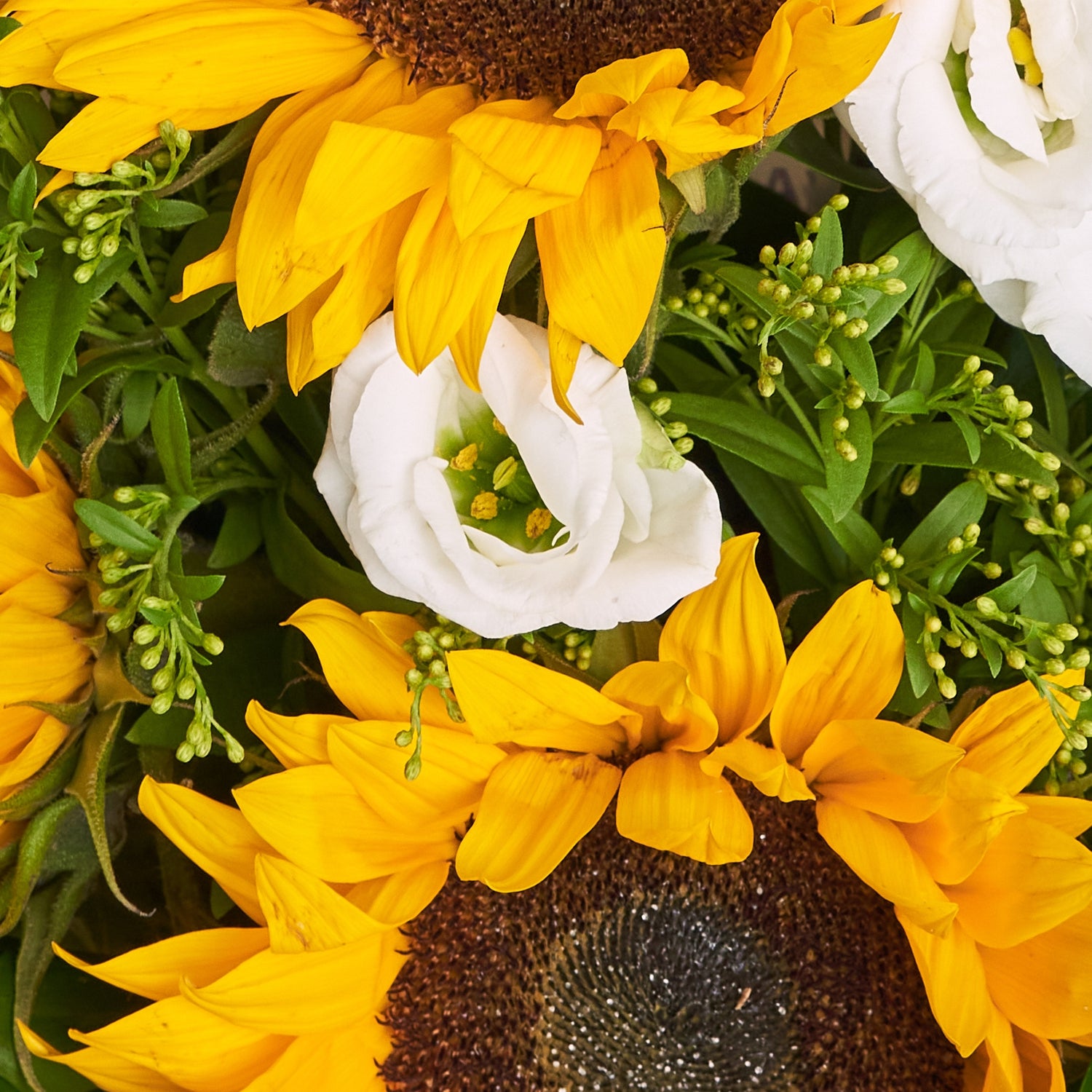 Bright Sunflower Bouquet