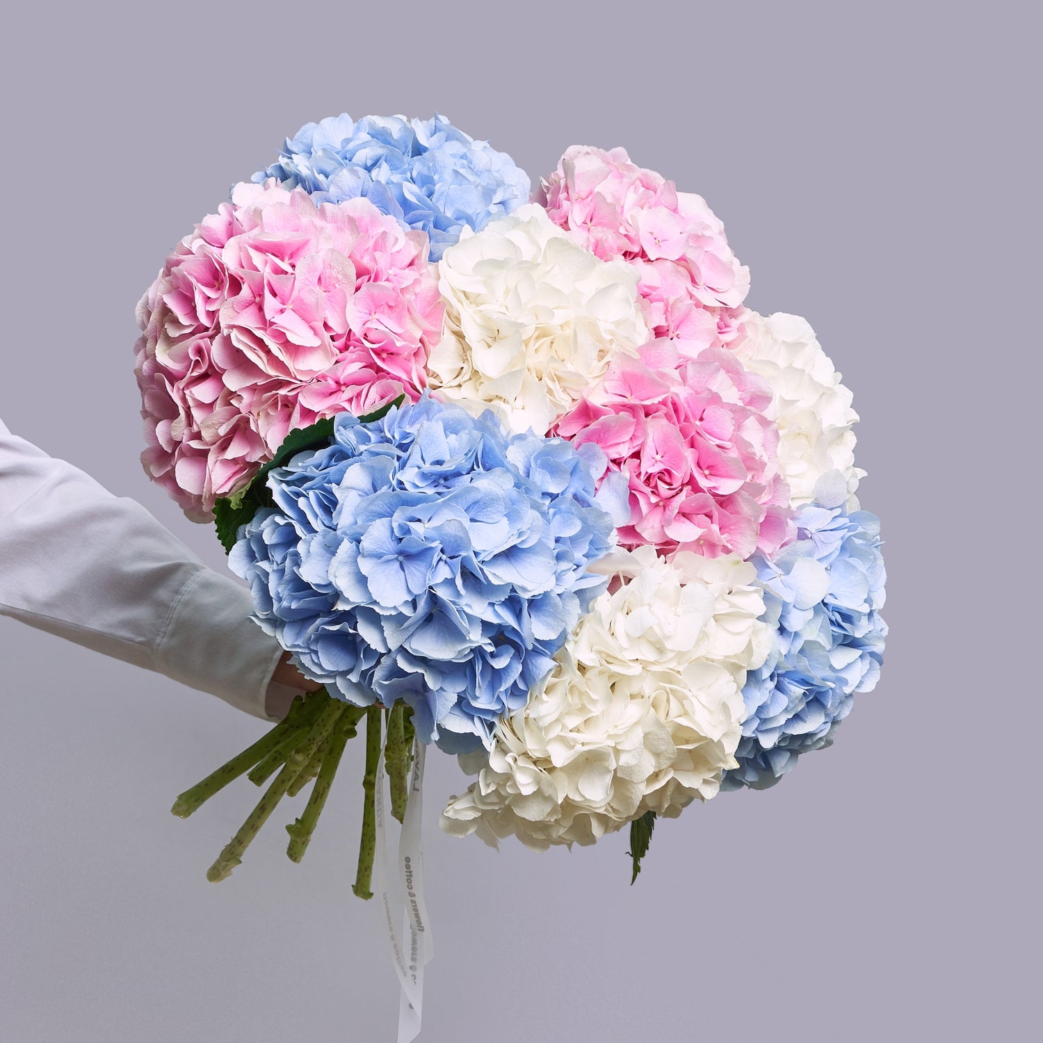 Bouquet of Airy Hydrangeas