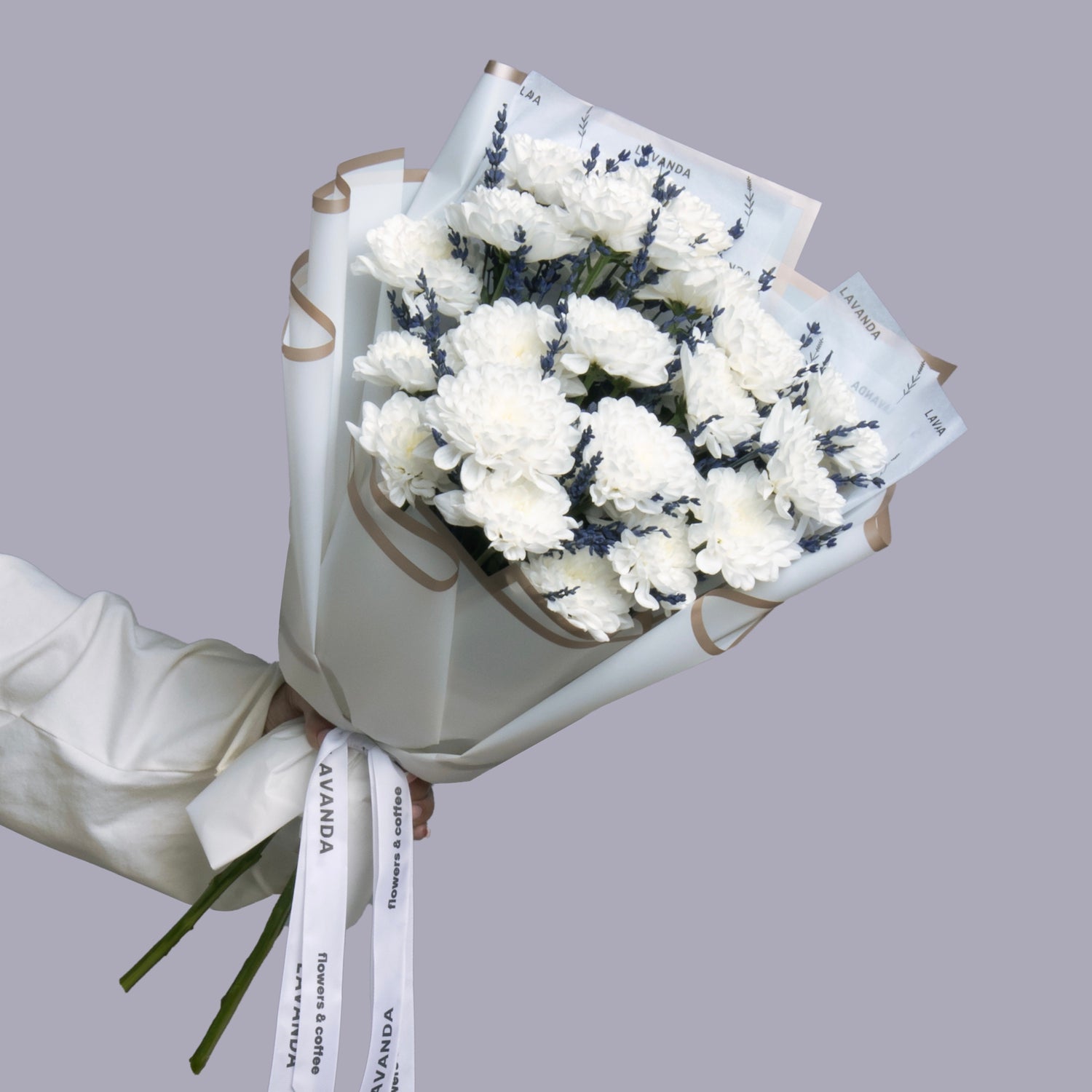 Tender Chrysanthemums with Fragrant Lavender