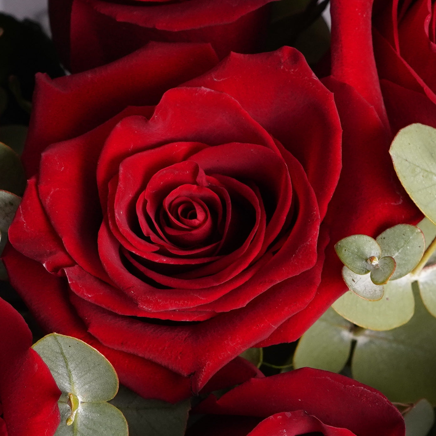 Red Roses with Eucalyptus