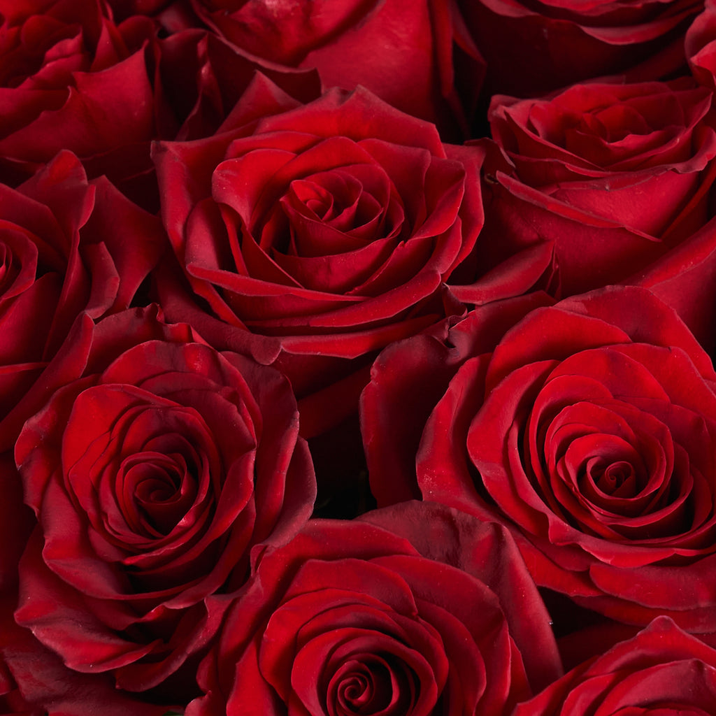 51 Red Roses